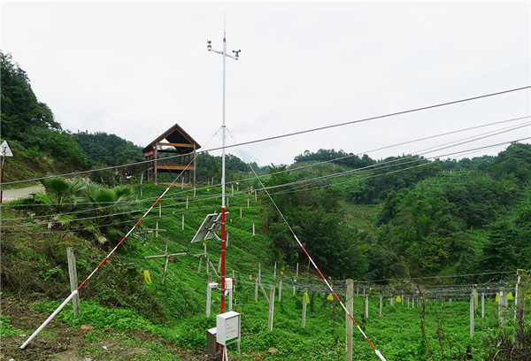 小型氣象站多少錢？風途小型氣象站報價