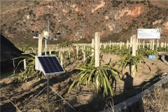 農業氣象站如何做好防雷工作?