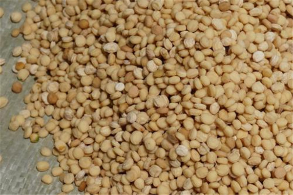 種子基地如何使用農業氣象站來提高種子基地的產量? 種子基地如何使用農業氣象站來提高種子基地的產量?