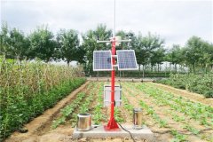 農(nóng)業(yè)氣象站為農(nóng)業(yè)領(lǐng)域做好氣象服務