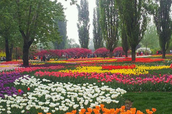 氣象觀測站 氣象觀測站