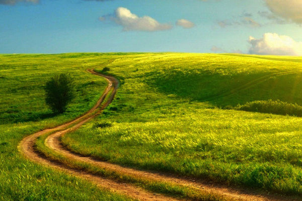 農(nóng)業(yè)氣象站 農(nóng)業(yè)氣象站