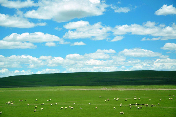 光伏太陽(yáng)能環(huán)境監(jiān)測(cè)系統(tǒng)