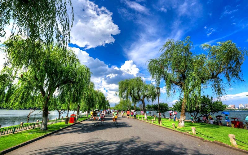 自動氣象站 自動氣象站