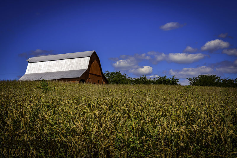 氣象站指的是什么? 氣象站指的是什么?