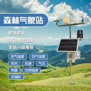 預防森林火災,保護森林生態系統