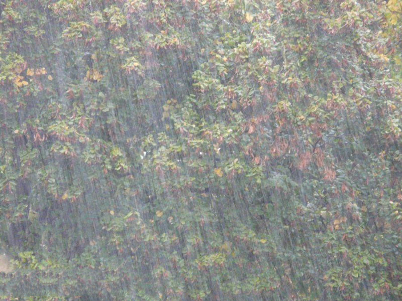 農(nóng)業(yè)種植業(yè)如何應(yīng)對(duì)暴雨? 農(nóng)業(yè)種植業(yè)如何應(yīng)對(duì)暴雨?