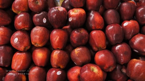 花牛蘋果,跟蛇果相媲美的國產水果 花牛蘋果,跟蛇果相媲美的國產水果